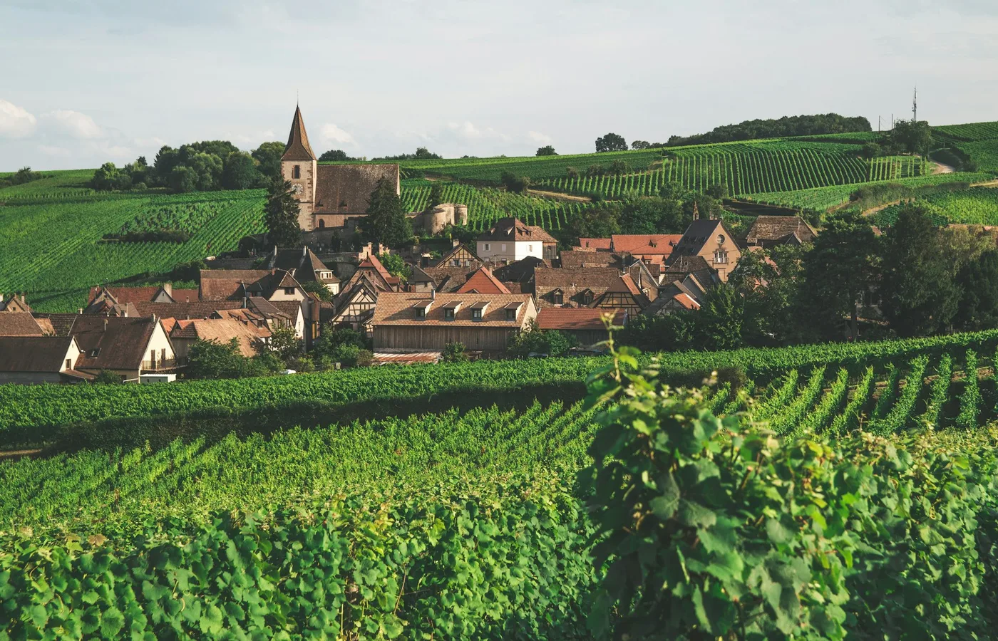 Village et vignobles dans le paysage alsacien